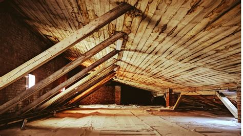 Expert Tips for Attic Mold Removal: A Comprehensive Guide