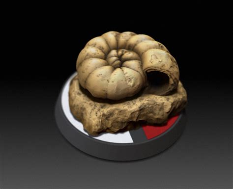 Helix Fossil Pokemon