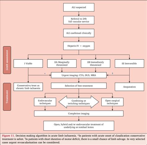 Figure 1 from Practice Guidelines on the Management of Acute Limb ...