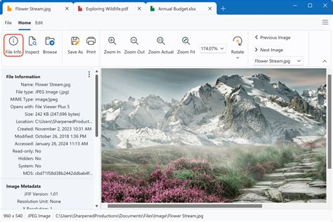 Image result for What Is a Cool File Viewer
