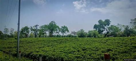 Crushing cycle of poverty, trafficking, domestic violence: Underbelly ...