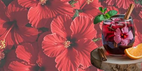 Daily Habits for Youthful Skin to Prevent Premature Aging – Blue Tea ...