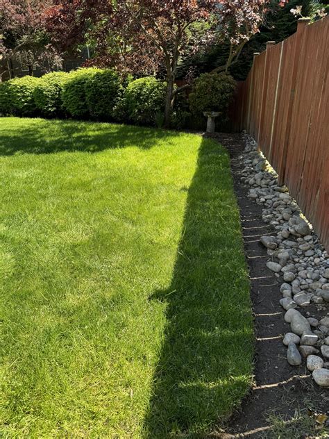 I wish someone told me how expensive large river rocks are before I ...