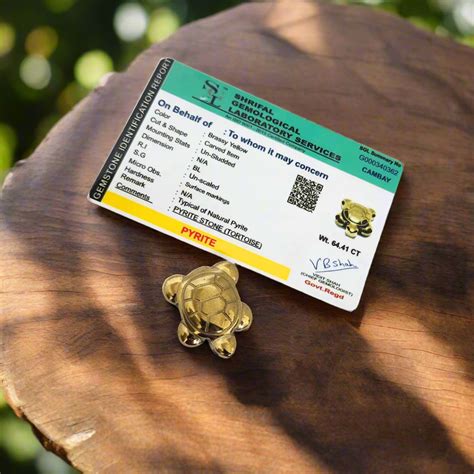 Pyrite Tortoise with Certificate – Soulwise