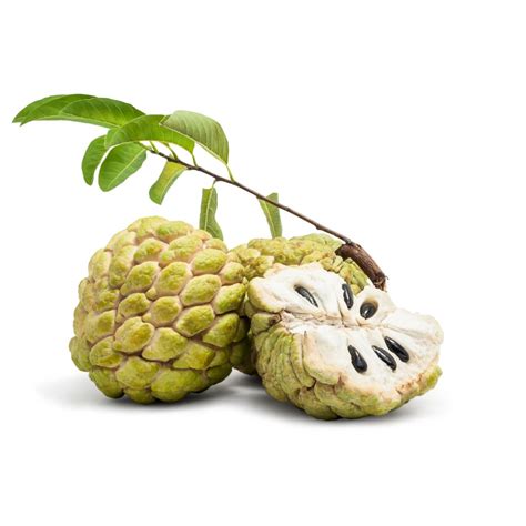 Custard Apple (Sitaphal) - Ashoka Agro Farms
