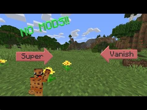 How to Vanish in Minecraft Java 的图像结果