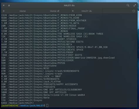 Check Storage in Linux 的图像结果