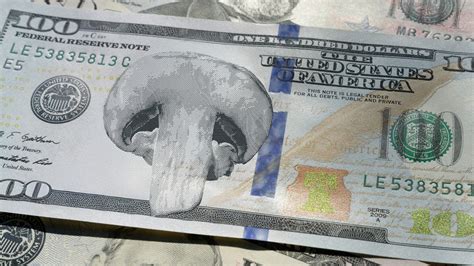 Protein Fortification: The Next Plant-Based Differentiator - The Food ...