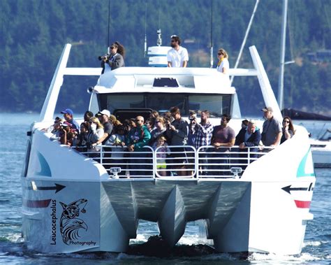 PUGET SOUND EXPRESS (2026) All You Need to Know BEFORE You Go (with ...