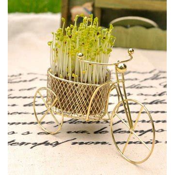 Love Bike Green Indoor Potted Plants Radiation Protection Plants - US$5 ...