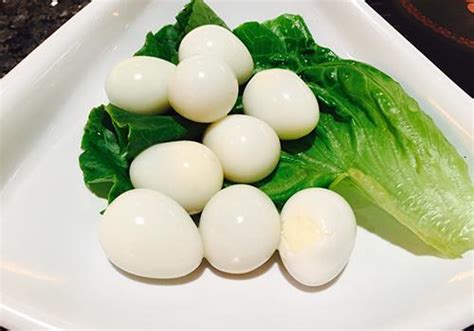 鸽子蛋营养比鸡蛋高吗,吃鸽子蛋有什么好处-乐哈健康网