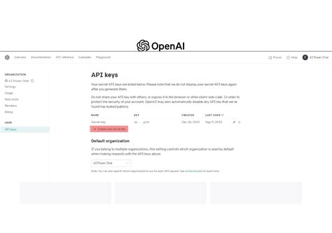 Image result for Openai API Key Entry Python