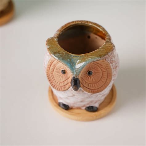 Colossal White Ceramic Owl Planter With Wooden Coaster Online - Premium ...