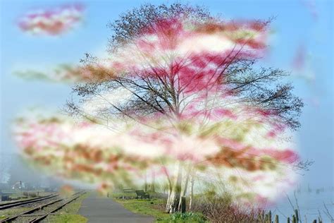 The Difference Between Migraine With and Without Aura