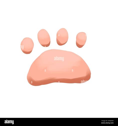 Cat paw pads, color illustration Stock Photo - Alamy