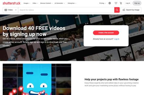 Shutterstock Tutorial 的图像结果