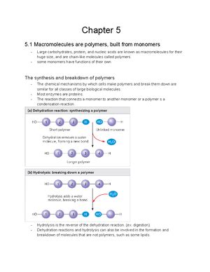 Image result for Complementarity of Structure and Function