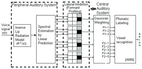 Process Models of the Auditory System 的图像结果