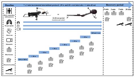 Assessment of Angular and Straight Linear Rowing Ergometers at ...