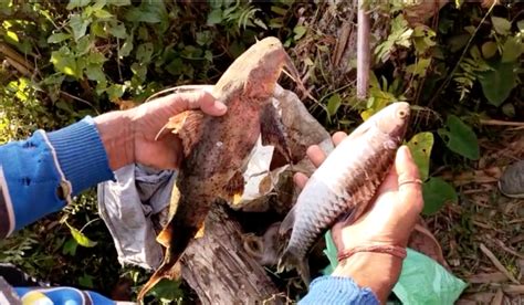 Massive Landslide AGAIN damages Lower Subansiri Hydro Project in Oct ...