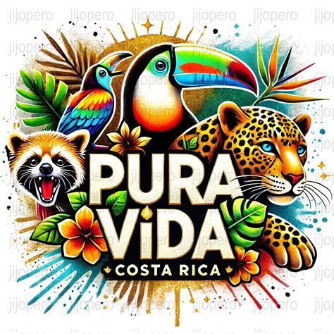 Colorful Costa Rica PNG Art, Pura Vida Toucan, Leopard and Raccoon ...