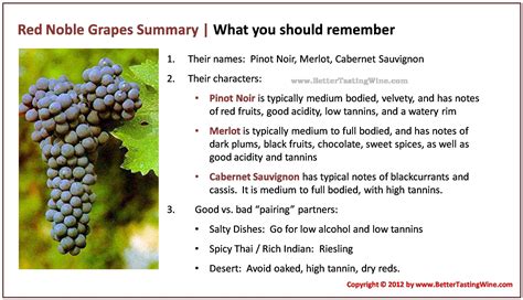 Cabernet Sauvignon vs Merlot vs Pinot Noir: What's the Difference?