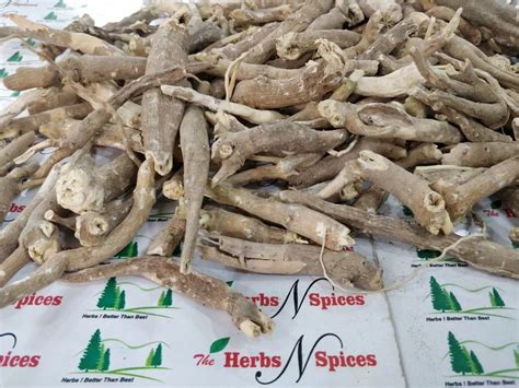 Herbal Fruits - Timut Pepper (With Seed)- Peppercorns - Zanthoxylum ...