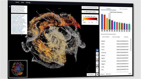 Single Cell Analysis Free Software 的图像结果
