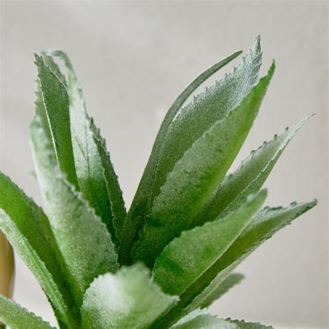 Buy Gloria Marine Artificial Succulent in Ceramic Swan Plot from Home ...