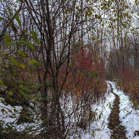 Greece Canal Park - Day Trips Around Rochester, NY