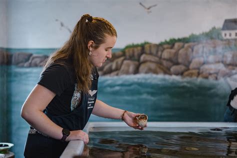 Aquarium - The Oceanarium and Education Center