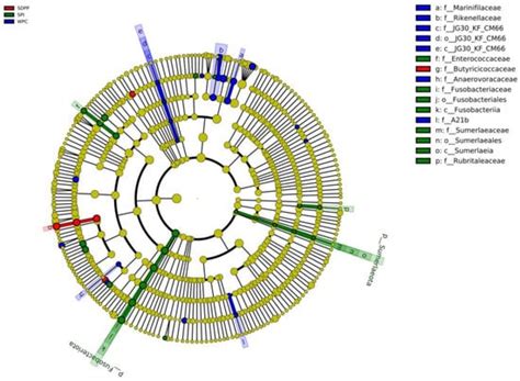 Partial Substitution of Whey Protein Concentrate with Spray–Dried ...