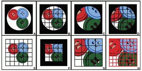 Image result for Fluoroscopy Magnification Mode