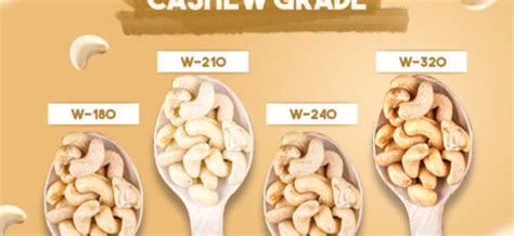Cashew Grades Explained: W180 vs W210 vs W240 vs W320 - Mudgil Royal ...