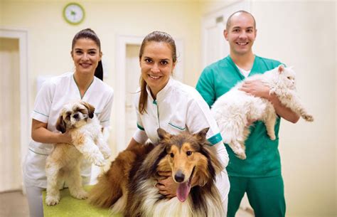 Image result for Injectable Filling Machine Video