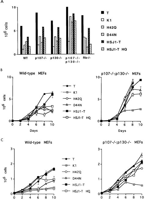 The J domain of TAg confers a growth advantage to MEFs. (A) A total of ...