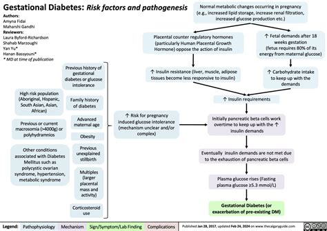 Gestational Diabetes Risk factors and pathogenesis | Calgary GuideCalgary Guide
