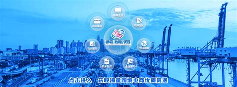 上海临港新片区“一网统管”平台正式启动建设，将探索无人机城市治理|界面新闻