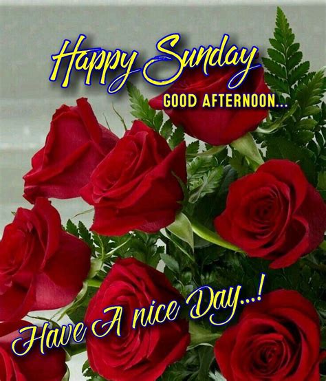 Good Afternoon | Happy Sunday Images