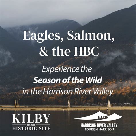 Eagles, Salmon, & the HBC, 215 Kilby Road, Agassiz, BC, Canada, British ...