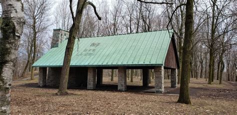 Local News in My Area 的图像结果