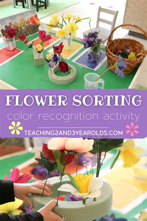 Image result for Spring Sorting Colours