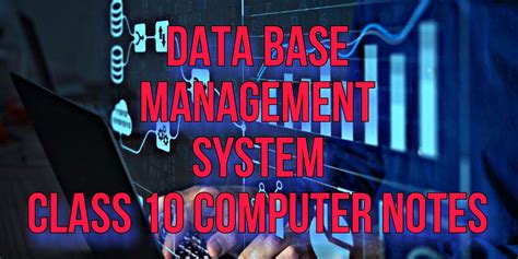Image result for Database Management System Class 10 G Learning