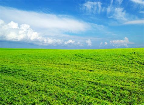 Field Calculator Python 的图像结果