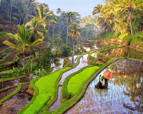 THE 5 BEST Places to Visit in Keliki (2025) - Must-See Attractions