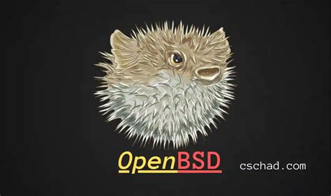 OpenBSD Installation Tutorial 2021 的图像结果