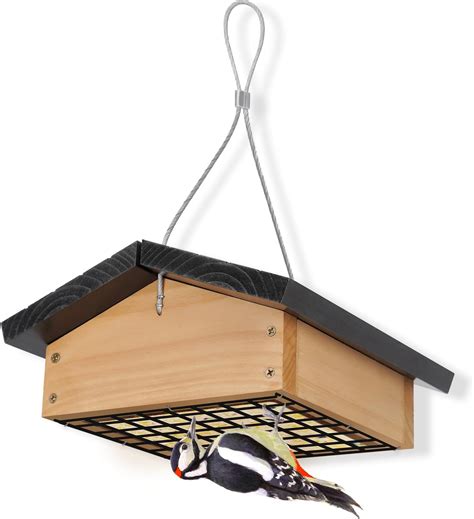 Amazon.com : Kingsyard Double Suet Bird Feeder with Weatherproof Roof ...