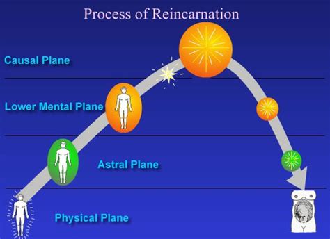 Reincarnation Diagram