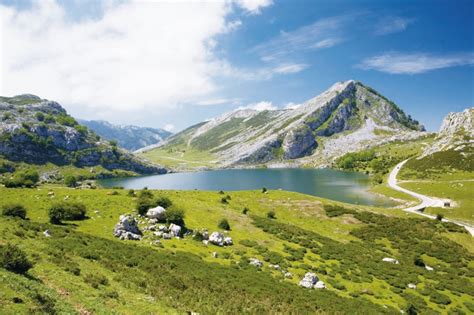 Image result for Woman Coding at Computer