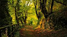 Desktop Wallpapers by Nature Wallpaper Wallpaper Desktop Wallpaper Hd Desktop Wallpapers